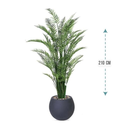 شجر نخل اريكا حوض فيبر 210 سم : 2720-514