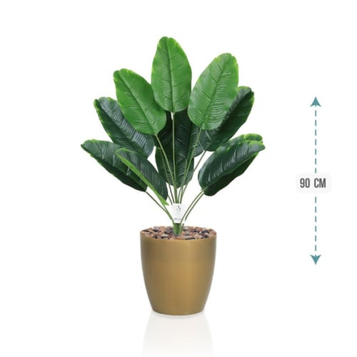 شتلة ورق موز 18 ورقة حوض بلاستيك 90 سم : 78913-203...