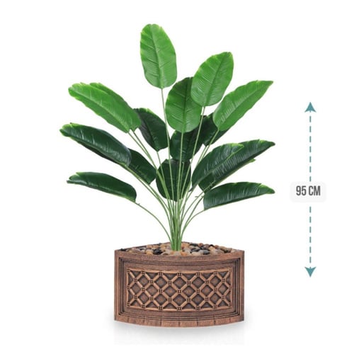 شتلة ورق موز 18 ورقة حوض بلاستيك زاوية 95 سم :7891...