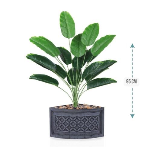 شتلة ورق موز 18 ورقة حوض بلاستيك زاوية 95 سم :7891...