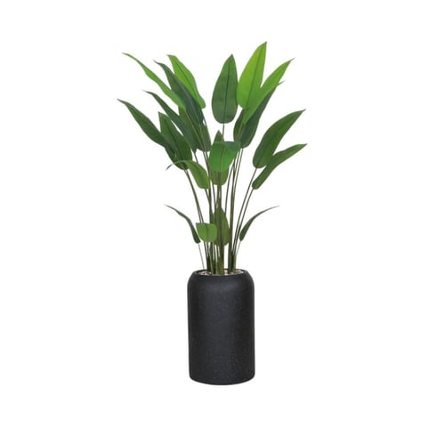 شجرة ورق عصفور الجنة حوض فيبر 533-1629