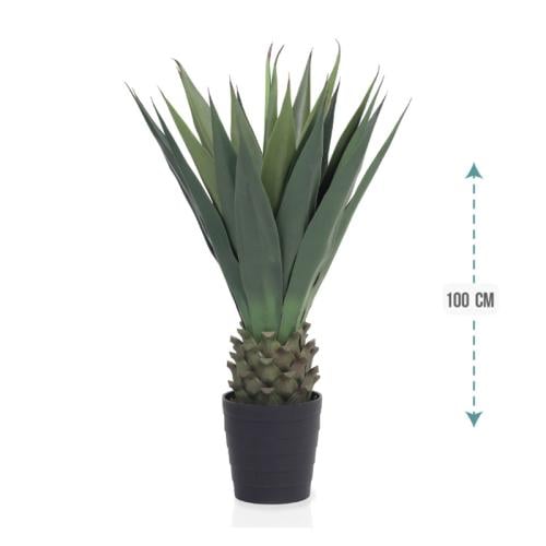 شجر صبار كبير 100 سم : 154