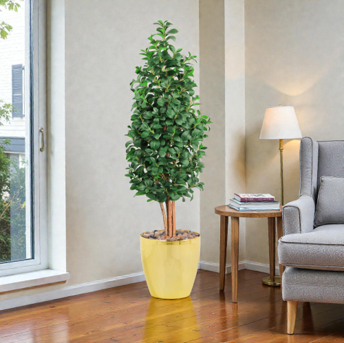 شجر ورق ليمون حوض بلاستيك