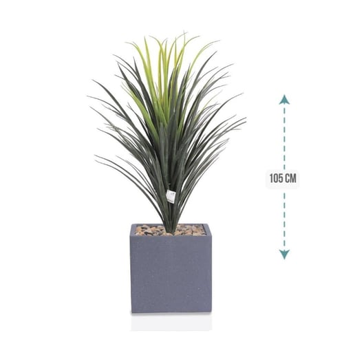 شجر صبار وسط مركن فيبر مربع ارتفاع 105 سم : 1019-5...