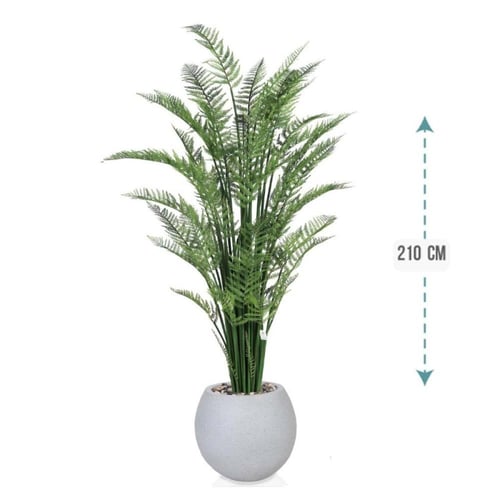 شجر نخل اريكا حوض فيبر 210 سم : 2720-514