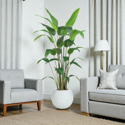 شجر عصفور الجنة حوض فايبر