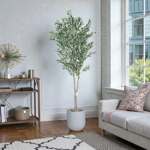 شجر زبتون حوض فايبر كبير