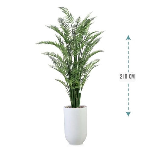 شجر نخل اريكا حوض فيبر 210 سم : 2720-533