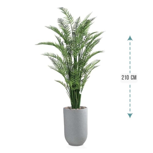 شجر نخل اريكا حوض فيبر 210 سم : 2720-533