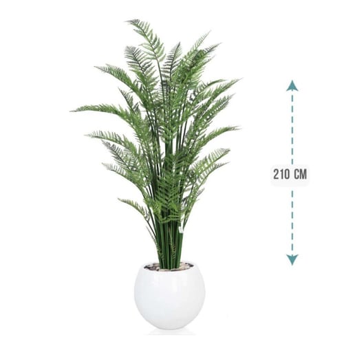 شجر نخل اريكا حوض فيبر 210 سم : 2720-514