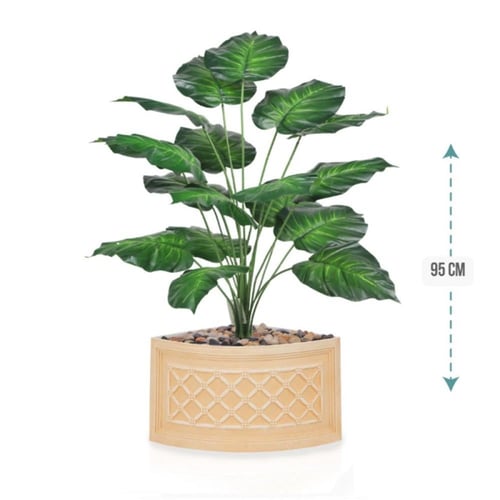 شتلة ورق قلب اخضر حوض بلاستيك زاوية 95 سم : 78915-...