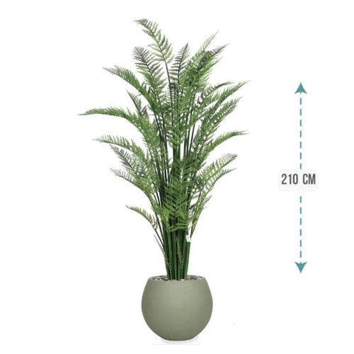 شجر نخل اريكا حوض فيبر 210 سم : 2720-514