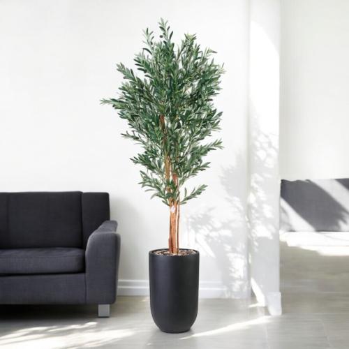 شجر زيتون فرع 1 حوض فيبر 266-535