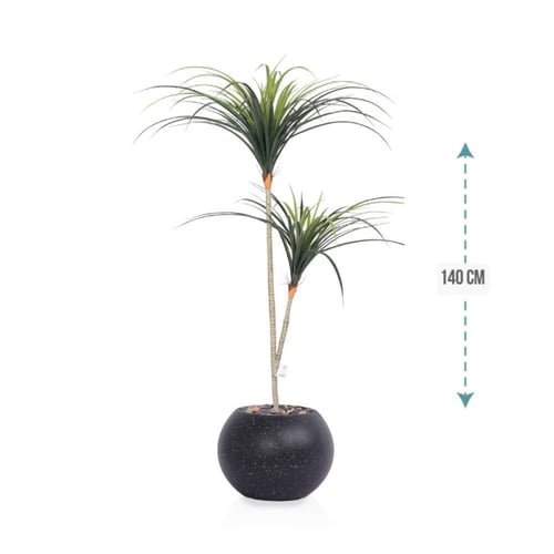 شجر صبار 2 فرع حوض بلاستيك 140 سم : 1052-528-4