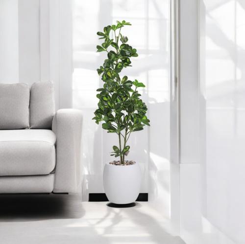 شجرة شلفيرا أخضر 1 فرع خوض فيبر542-3504