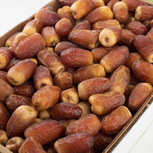 صقعي فله ملكي