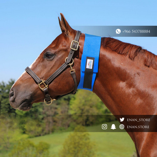 عراقة مذبح (كبير)