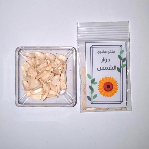 بذور دوار الشمس (عضوي)