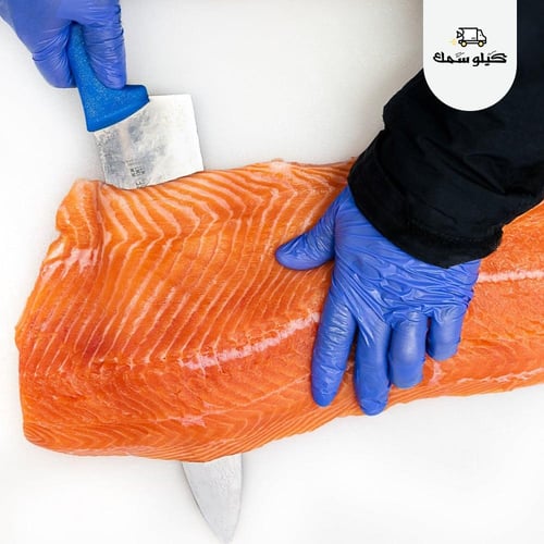 سمك سالمون وسط - Medium Salmon