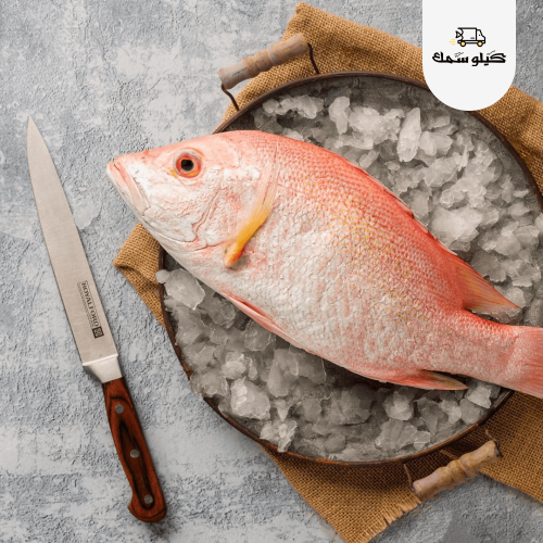 سمك حمرا - Hamra