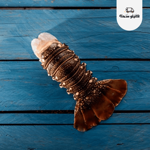 لوبستر - Lobster