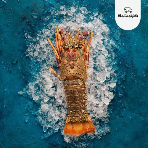 لوبستر - Lobster