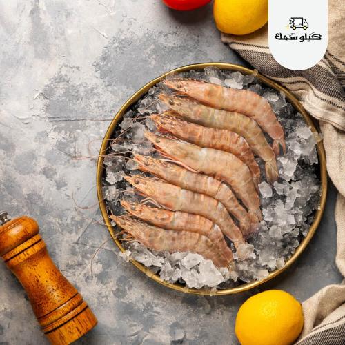 روبيان كبير- L shrimp