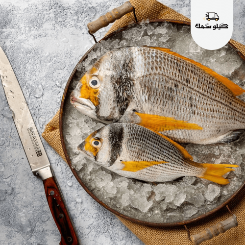 سمك فسكر - Faskar