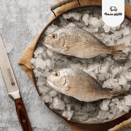سمك قرقفان -Gurgfan