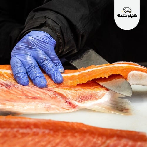 سمك سالمون وسط - Medium Salmon