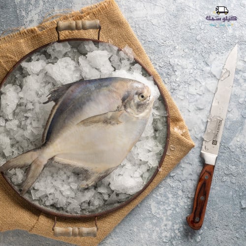 سمك زبيدي - Zubide