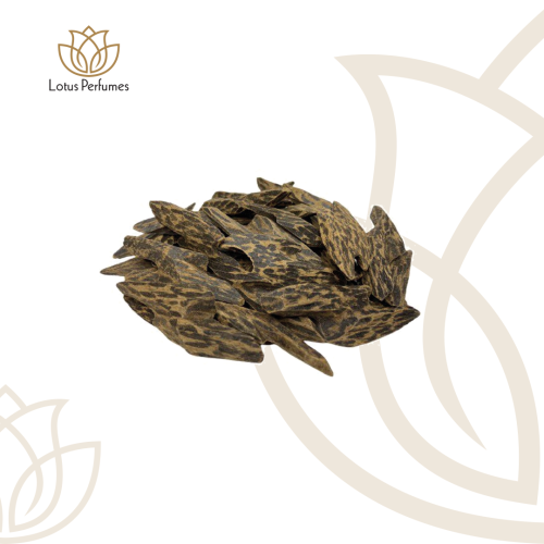 Royal Cambodian Oud