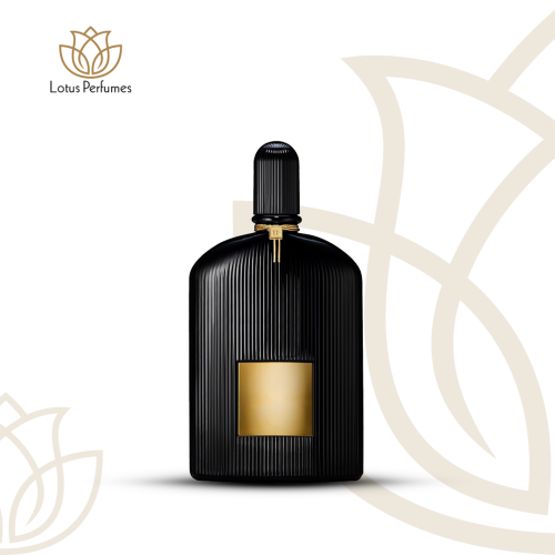 لوتس بلاك اوركيد - Lotus Black Orchid