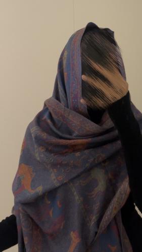 Pashmina61