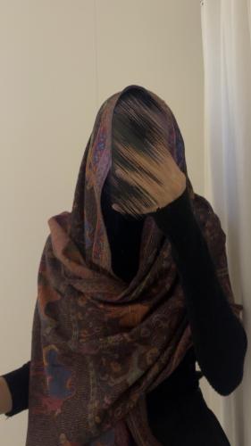 Pashmina60