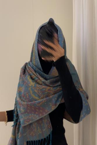 Pashmina17
