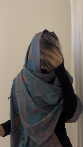 Pashmina62