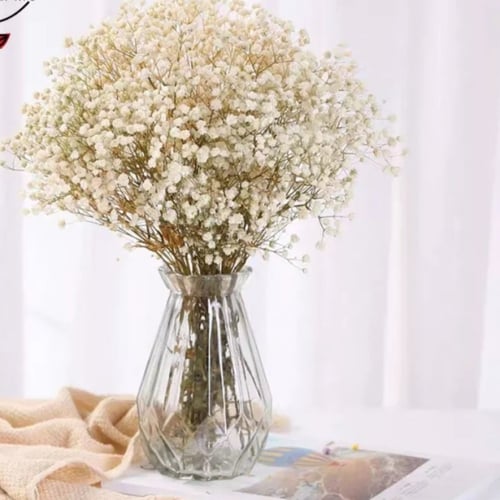 باقه ورد جيبسوفيلا كبيره جداً