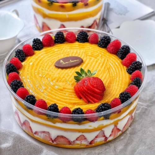 علب بلاستيك كبير دائري