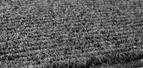 دعاسات خارجية لون أسود