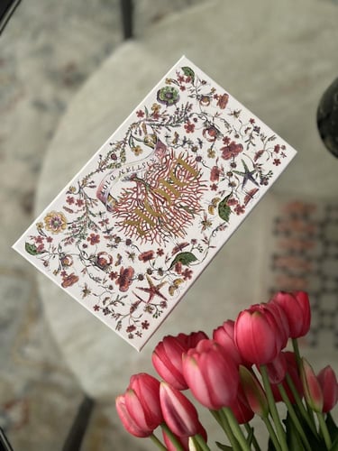 ملحقات ديور اصدار خاص اصلية (علبه/ورق داخلي/كيس دي...