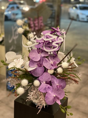 اوركيد الأم