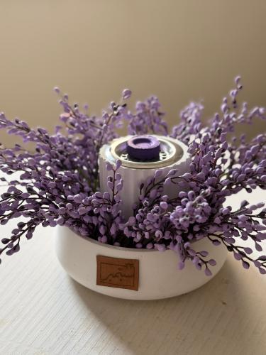 مبخرة موڤ" (Mauve)