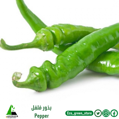 بذور فلفل حار