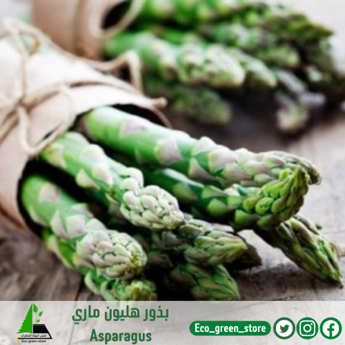 بذور هليون ماري