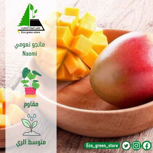 naomi مانجو نعومي