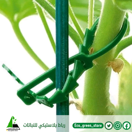 رباط بلاستيكي للنباتات