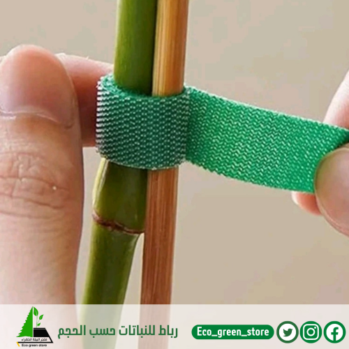 رباط للنباتات حسب الحجم