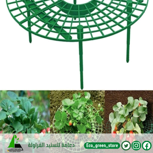 دعامة لتسنيد الفراولة