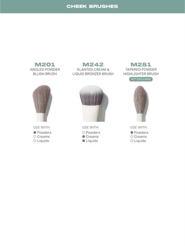 MORPHE Ready Set Pro 16-Piece Face & Eye Brush Set